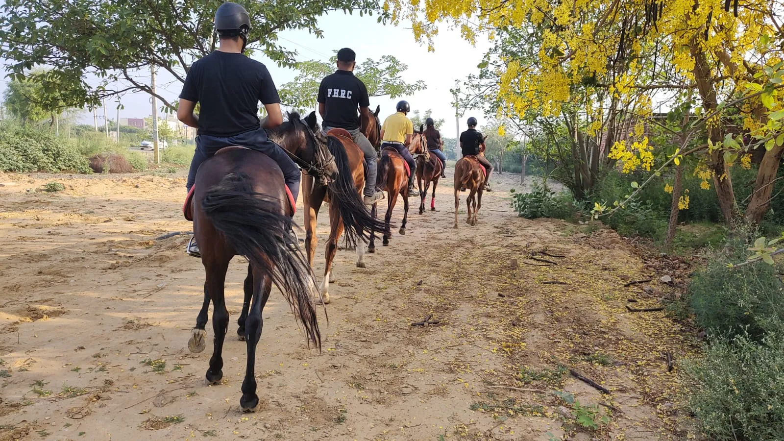 Riders heading out on a trail through the paddocks.
