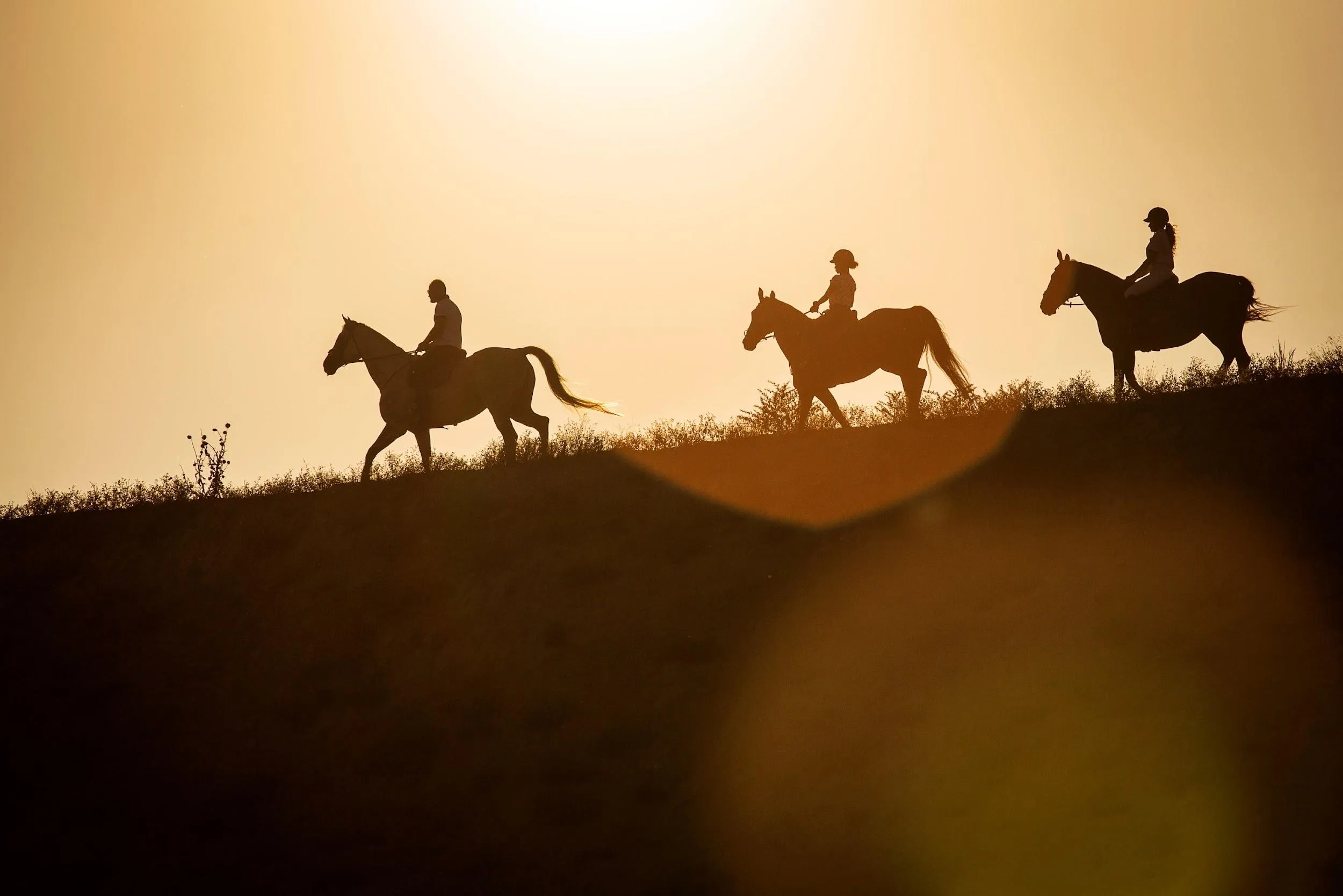 Riders at golden hour on a ridge in Faridabad.